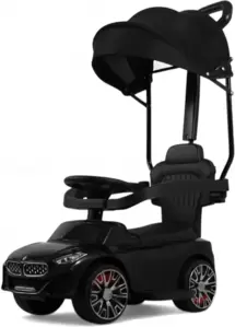 Детский толокар RiverToys BMW Z005ZZ-BP (черный) фото