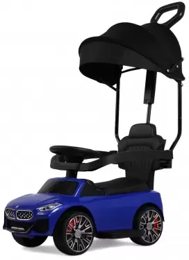 RiverToys BMW Z005ZZ-BP (синий)