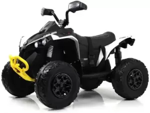 Детский электроквадроцикл RiverToys BRP Can-Am Renegade Y333YY (белый) icon