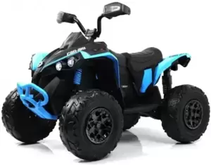 Детский электроквадроцикл RiverToys BRP Can-Am Renegade Y333YY (синий) icon