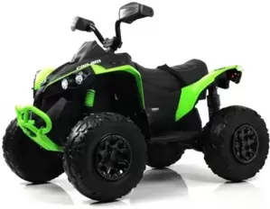 Детский электроквадроцикл RiverToys BRP Can-Am Renegade Y333YY (зеленый) фото