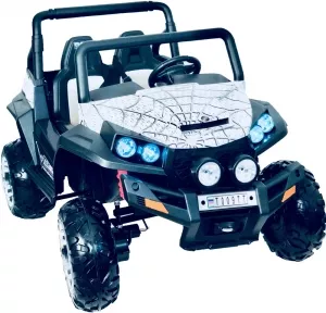 Детский электромобиль RiverToys Buggy Spider 4x4 T009TT фото
