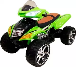 Детский электроквадроцикл RiverToys E005KX (зеленый) фото