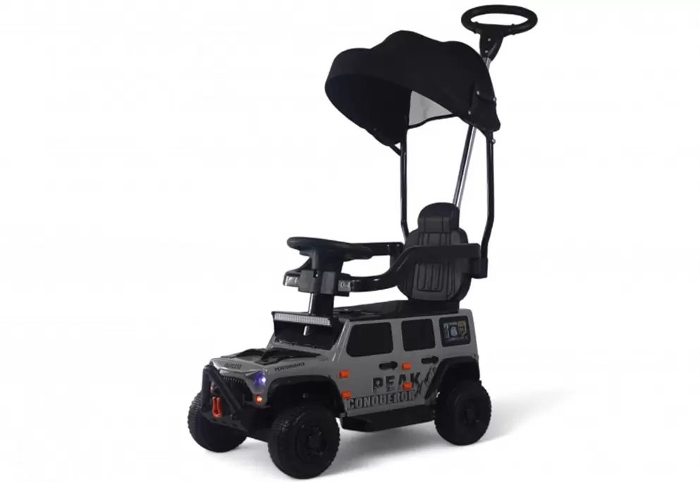 RiverToys G009GG (серый)