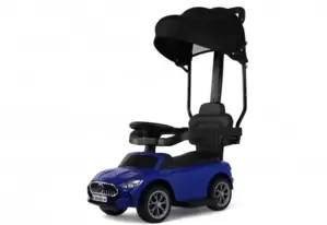 Детский толокар RiverToys Z005ZZ-M (синий) фото