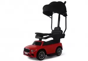 Детский толокар RiverToys Z005ZZ-T (розовый) фото