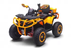 Детский электроквадроцикл RiverToys Z111ZZ (желтый) фото