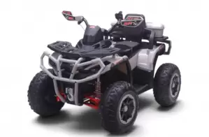 RiverToys Z111ZZ (серый)