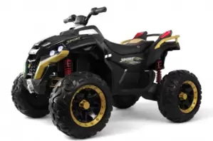 RiverToys Z888VO 4WD (черный)