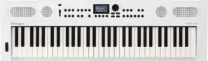 Синтезатор Roland Go:Keys 5 (белый) фото