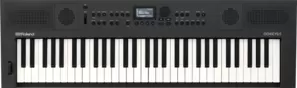 Roland Go:Keys 5 (графит)