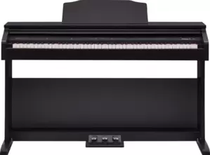 Roland RP30
