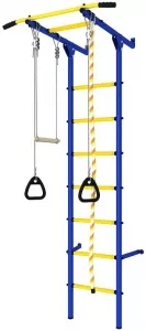 Спортивный комплекс ROMANA Пристенный ДСКМ-2С-7.06.Г3.410.14-24 фото
