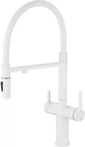 Rose R458C