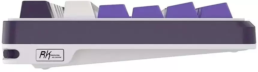 Клавиатура Royal Kludge RK-S98 RGB Blackberry (RK Brown) фото
