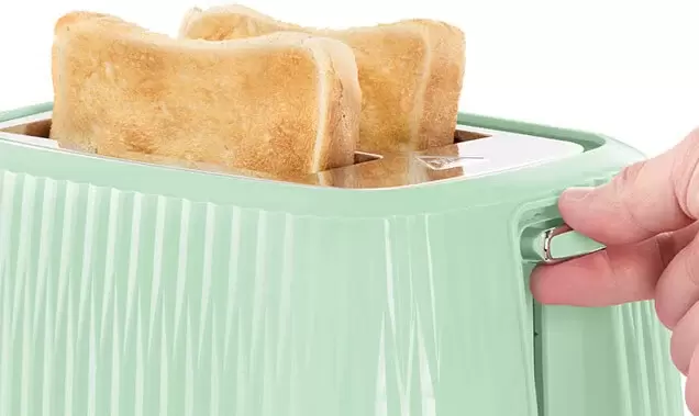 Тостер Russell Hobbs Eden 2 Slice Pistachio 27374-56 фото