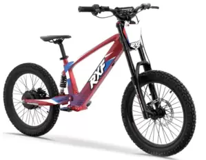 Электровелосипед RXF AMOTO EVO Racing 20 фото