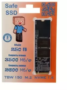SSD Safe 250Gb ST250E19T фото