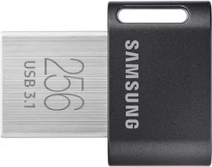 USB-флэш накопитель Samsung FIT Plus 256GB (MUF-256AB/APC) фото