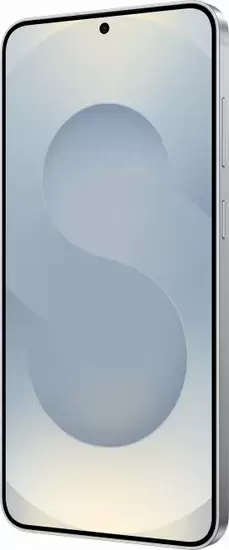 Samsung Galaxy S25+ SM-S936N 12GB/256GB (серый) фото