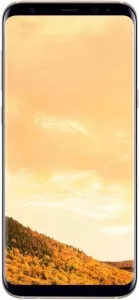 Samsung Galaxy S8 64Gb Gold (SM-G950F) фото