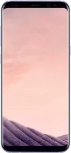 Samsung Galaxy S8 64Gb Gray (SM-G950F) фото