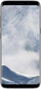 Samsung Galaxy S8 64Gb Silver (SM-G950F) фото