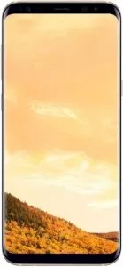 Samsung Galaxy S8+ 64Gb Gold (SM-G955FD) фото
