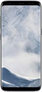 Samsung Galaxy S8+ 64Gb Silver (SM-G955FD) фото