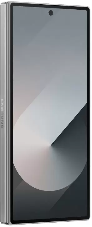 Samsung Galaxy Z Fold6 SM-F956B/DS 12GB/256GB (серый) и наушники Galaxy Buds3 Pro (серебристый) по акции фото
