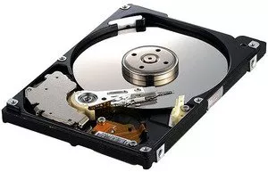 Жесткий диск Samsung HM250JI 250 Gb фото