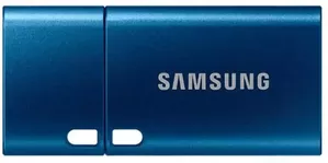 USB-флэш накопитель Samsung MUF-256DA/APC 256Gb  фото