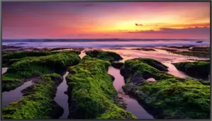 Информационная панель Samsung QB75B LH75QBBEBGCXCI фото