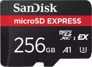 Карта памяти SanDisk Express microSDXC SDSQXFN-256G-GN4NN 256GB фото