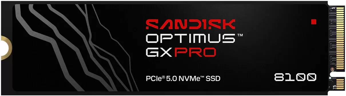 SanDisk Optimus GX PRO 8100 2TB SDSP82200TAN-000E0
