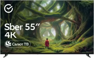 Sber SDX-55U5500DBB
