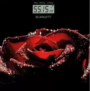 Scarlett SC-BS33E028
