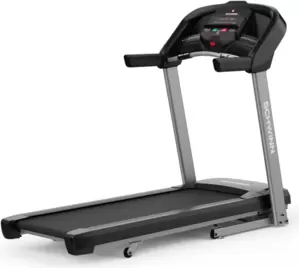 Беговая дорожка Schwinn SFT4.1-21