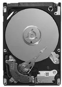Жесткий диск Seagate Momentus 7200.4 ST9500423AS 500 Gb фото
