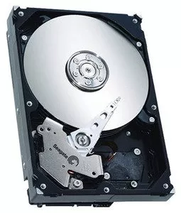 Жесткий диск Seagate ST31000340NS 1000 Gb фото