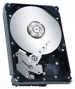 Жесткий диск Seagate ST3160211AS 1160 Gb фото