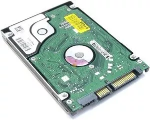 Жесткий диск Seagate ST9100821AS 100 Gb фото