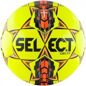 Мяч футбольный Select Delta 815017 фото