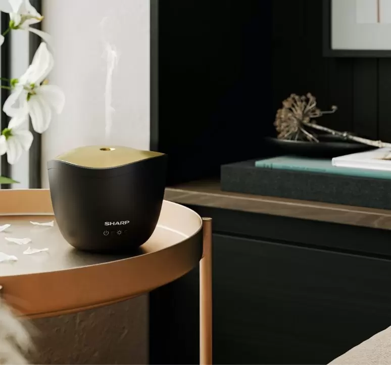 Увлажнитель воздуха Sharp DF-A1E-B фото
