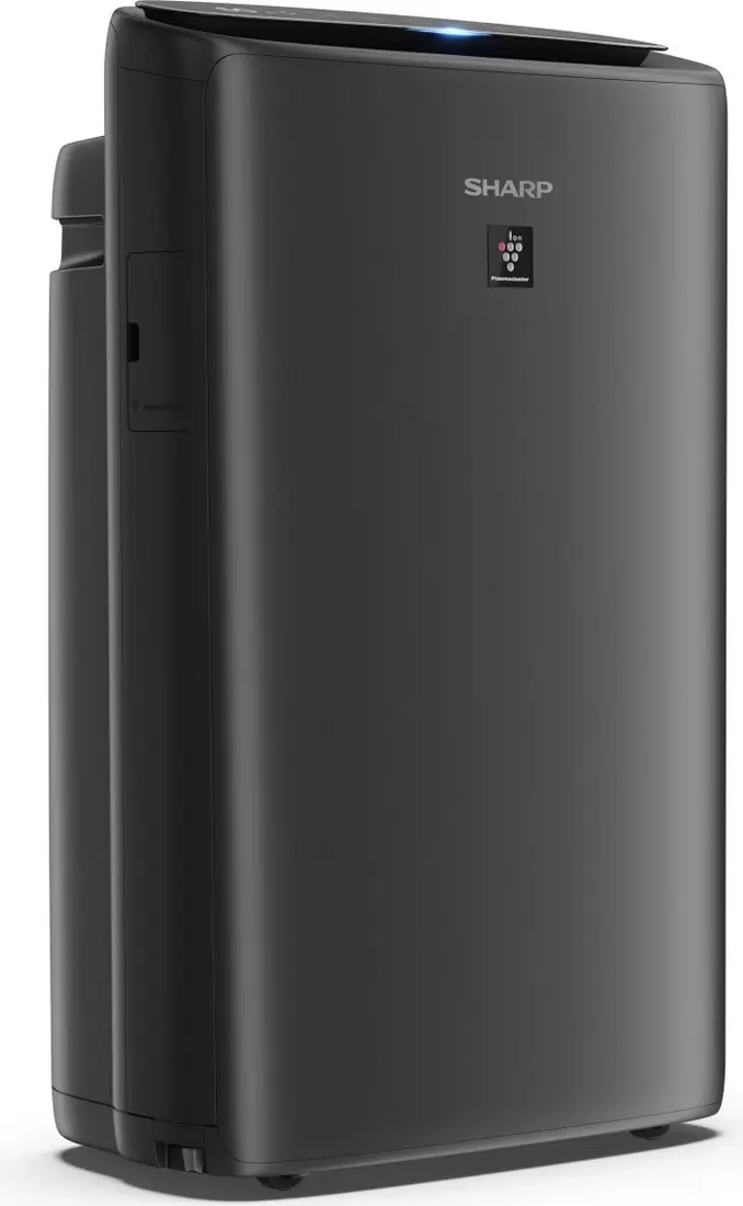 Очиститель воздуха Sharp UA-KIN42E-H фото