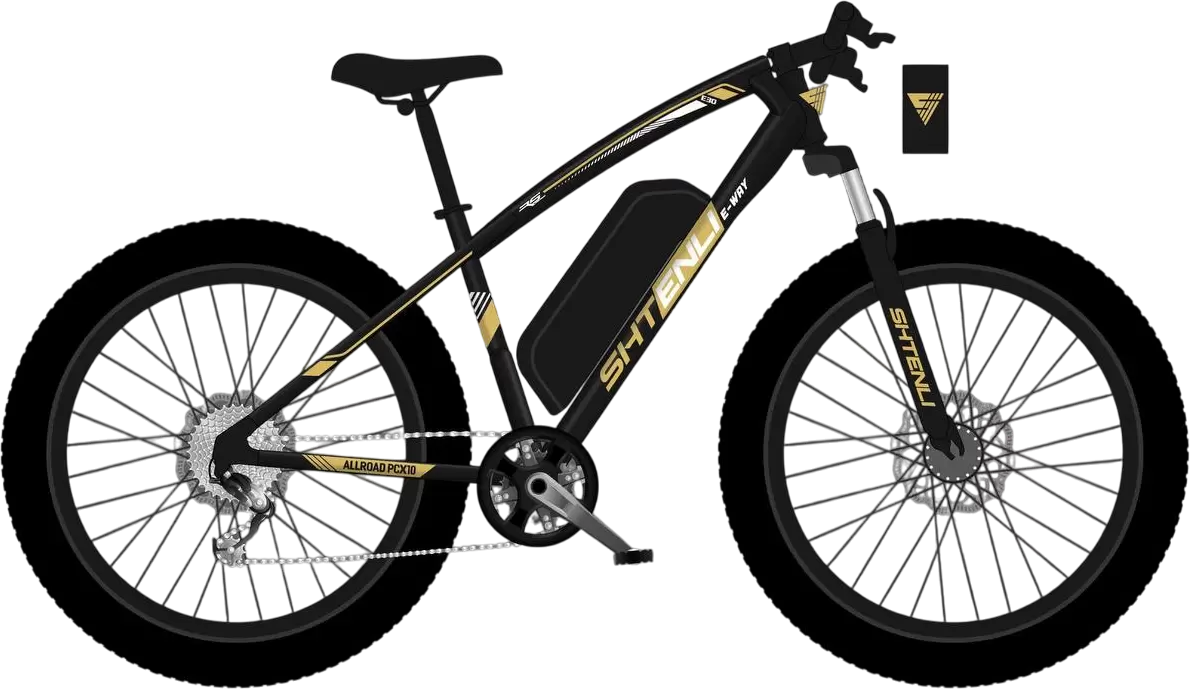 Shtenli Allroad PCX10 48V12А