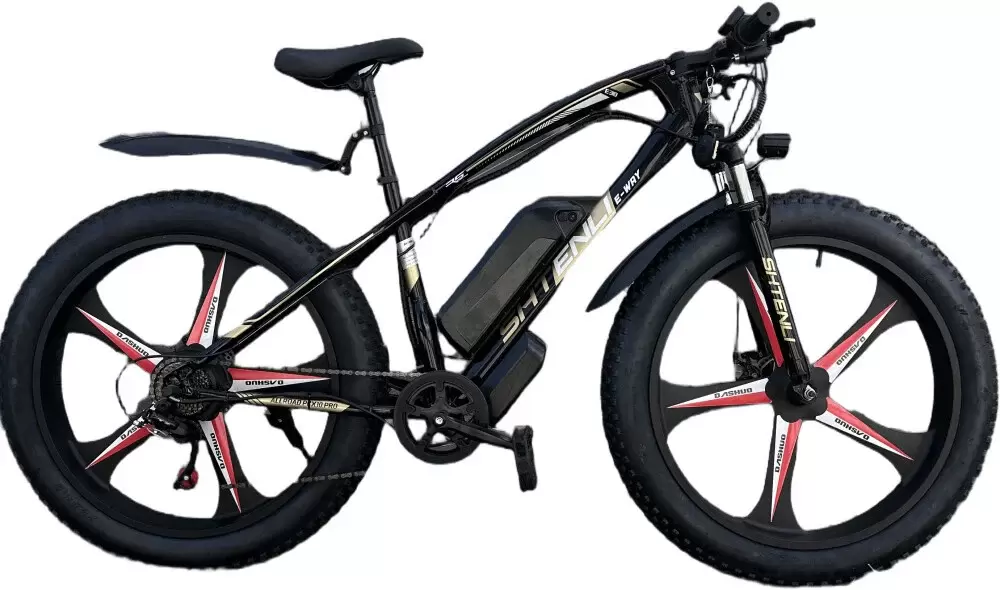 Shtenli Allroad PCX10 PRO 36V15.6A