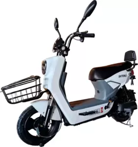 Электроскутер Shtenli Model 29 фото
