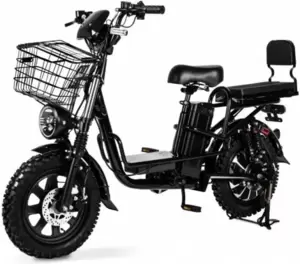 Электровелосипед Shtenli Monster V-12 48V12A фото