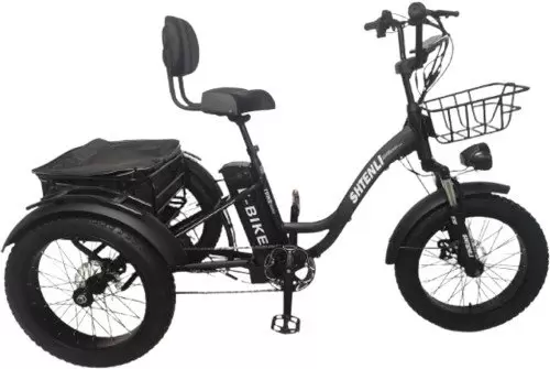 Shtenli Trike xMax 48V15.6A